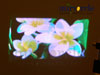 Rasterized Display 4