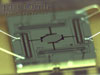 Standard 5